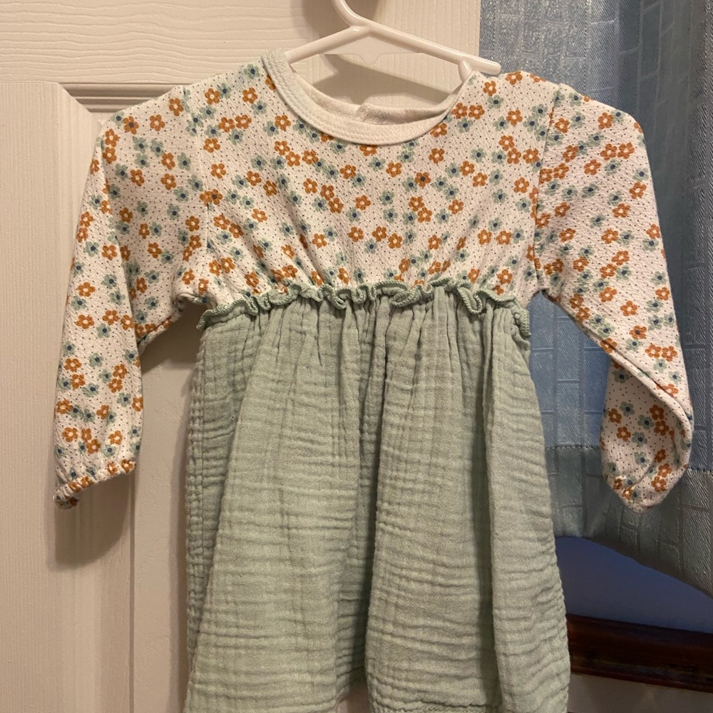 Rachel Zoe Floral Baby Dress with Orange and Green Accents